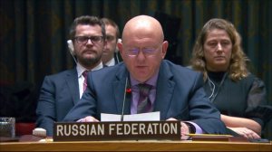 Василий Небензя. Выступление в СБ ООН по угрозе международному миру и безопасности со стороны ИГИЛ