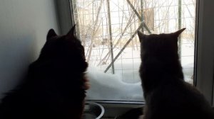 На улице холодно.