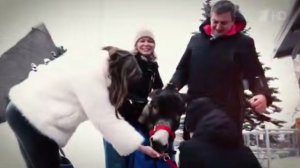 От линии фронта до московского зоопарка: трогательная история боевого ослика Жорика