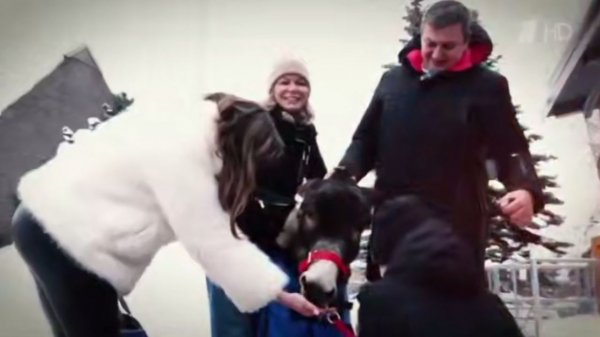 От линии фронта до московского зоопарка: трогательная история боевого ослика Жорика