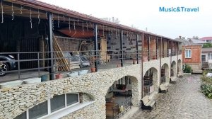 Край, где распускается мимоза, день 6 /Отель "Как дома" и его обитатели