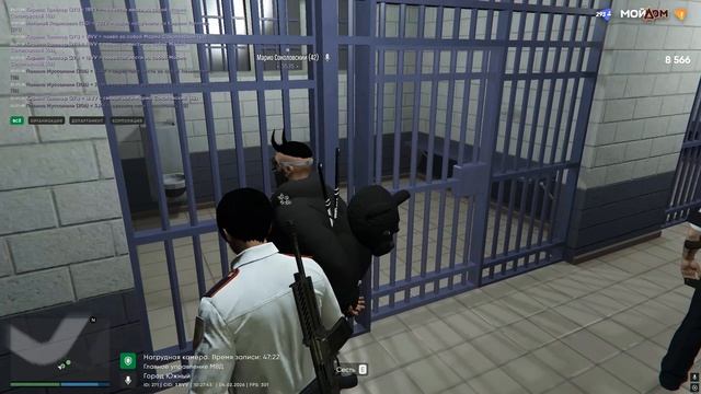 3535 смотреть онлайн