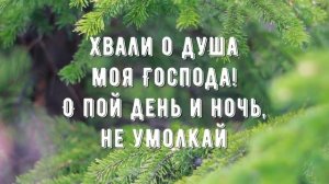 Хвали о душа моя - минус мой 1