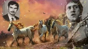 Кони привередливые