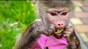 В доме УРАГАН!!! Люся за 5 МИНУТ навела полный бардак в комнате!