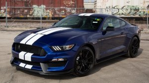 реставрация авто найдено в густом лесу Ford Mustang
