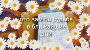 что вам по судьбе в ближайшие дни