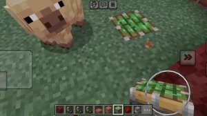 как построить секретную комнату с камином в Майнкрафте