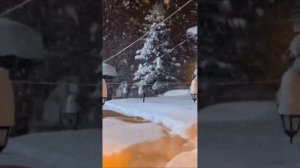 Дома я одна...  Елена Карпук