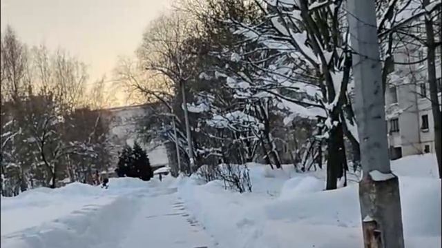 Герои рутуба и мультиков, про ёлочку и детей, деревья одни те же, короче бубнящий гуляющий Лёха смотреть онлайн