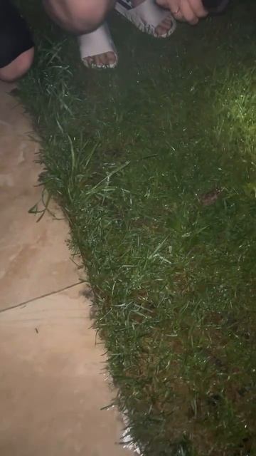 Топ неожиданных концовок смотреть онлайн