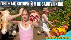 МОЙ УЧАСТОК ВЫДАЛ ВЗРЫВНОЙ УРОЖАЙ! В декабре такого совсем не ожидала! Зимней хандре не будет места