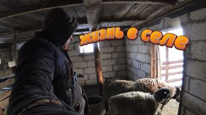 ШУМКА ГОТОВА !!! СКЛЕИЛ СТОЛЕШНИЦУ !! ЖИЗНЬ В СЕЛЕ