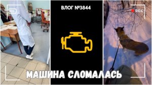 Машина сломалась | Отвезла коляску в больницу | Нашли потерянную собаку!  - ВЛОГ №3844 - 03.02.26