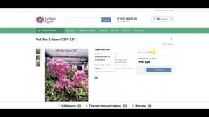 🌸ПРОДАЖА ОРХИДЕЙ. Предзаказ орхидей на сезон 2026 года. Обзор №4. Купить орхидею.