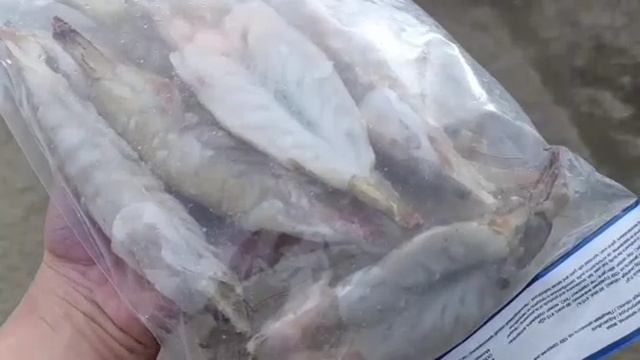 Креветка бабочка смотреть онлайн