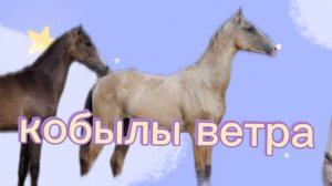 Мини сериал/ 1 серия