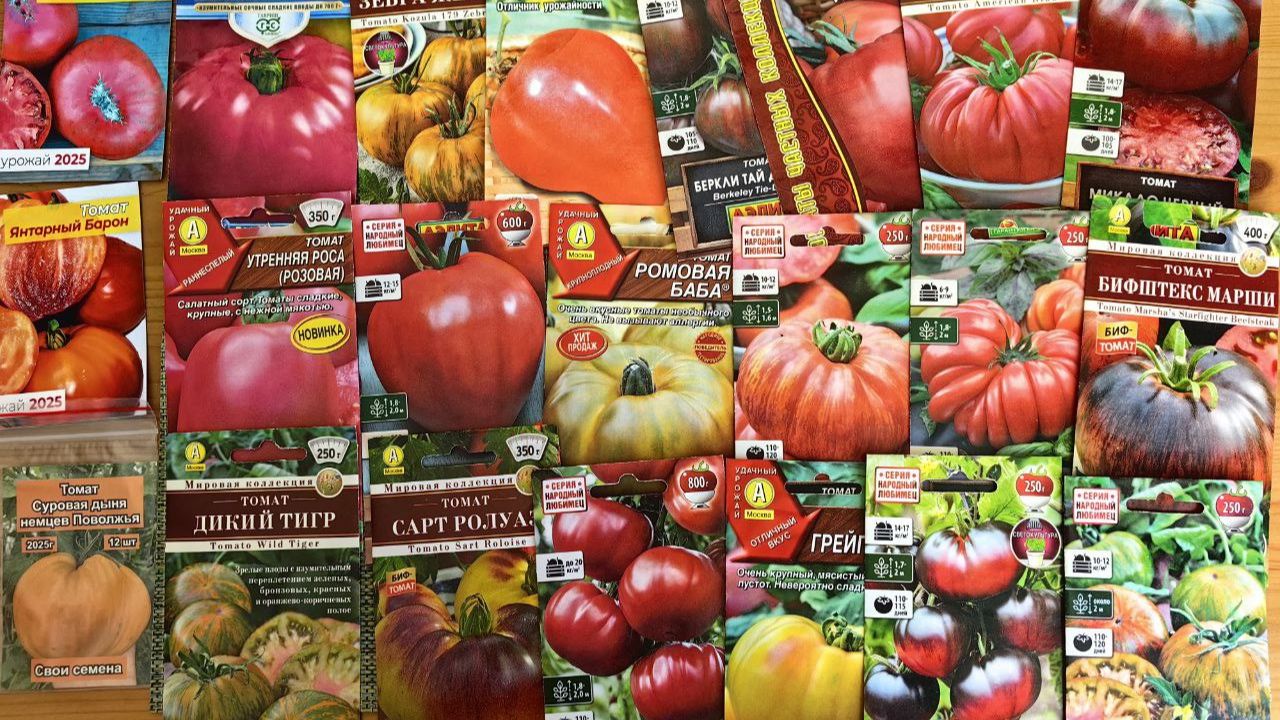 Обзор Семян Томатов на 2026 смотреть онлайн