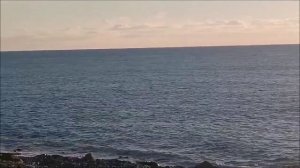 Погодка сегодня - море и солнце