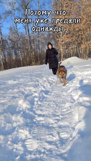 Хлоя в добрые руки