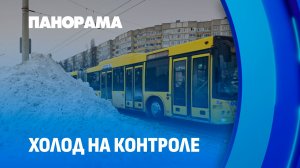 Метель и дизель на пределе: как автобусы выживают и греют пассажиров в аномальные холода. Панорама