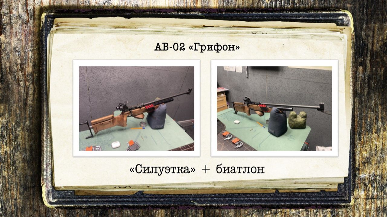 Винтовки для "силуэтки". AB-02 "Грифон"