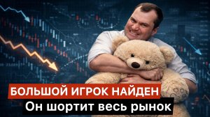 Большой игрок, который шортит рынок акций найден! Что с ним не так?