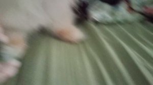 игра кальмара 2