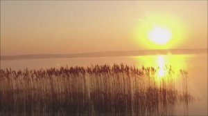 Безработный