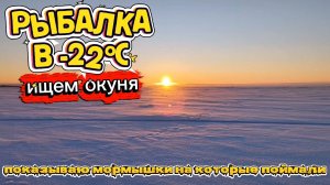 Ищем окуня в -22°C. Вся рыбалка поиск! Показываю на какие мормышки поймали окуня.