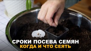 РАННИЕ И ПОЗДНИЕ ПОСЕВЫ: ОПТИМАЛЬНЫЕ СРОКИ ДЛЯ ОВОЩЕЙ. Сроки посева основных овощных культур.