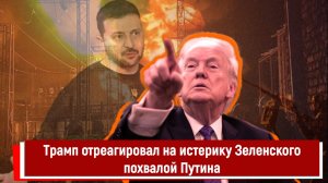 Трамп отреагировал на истерику Зеленского похвалой Путина
