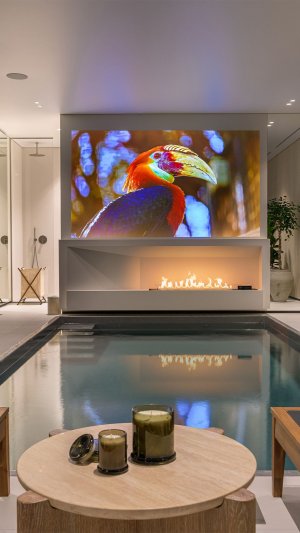 Кинозал с бассейном или бассейн с кинозалом?