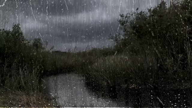 Windy Rain and Thunder Sound - Heavy Rain with Thunder - 2 Hours Rain Sounds for Sleep - Windy Rain смотреть онлайн