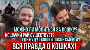 ❗️Можно ли молиться за кошку? Кошачий рай существует? Где будут кошки после смерти?