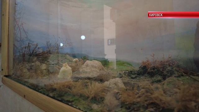 ТК "Родной". В Кировском музее стартовал практический этап работы «Клуба юных экскурсоводов» смотреть онлайн