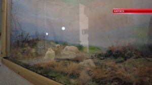 ТК "Родной". В Кировском музее стартовал практический этап работы «Клуба юных экскурсоводов»