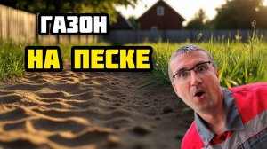 Можно ли вырастить газон на песке? Эксперимент и результаты