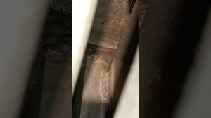 ремонт катера silver eagle cabin 650 завершение и начало!))