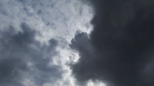 Едем мы едем - создано на сайте ТвойХит.рф стихи Е. Касаткиной.