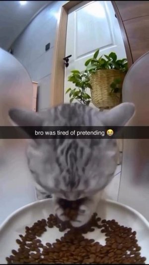 Нет сил моих больше притворяться