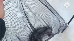 Зимняя ловля форели в домашнем пруду