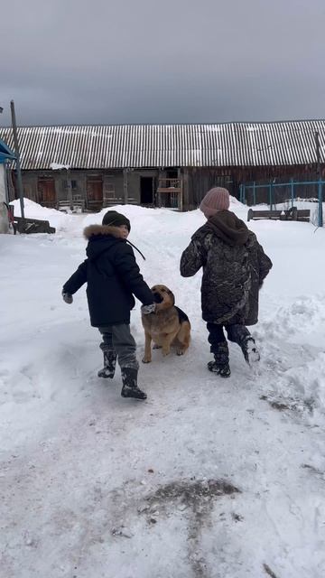 Зимние ПРЯТКИ!❄️ смотреть онлайн