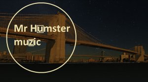 Mr Humster muzic / bass 4