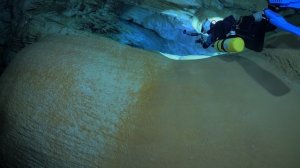 El Macio Del Jobal 2025 Cuba Gibara Holguin