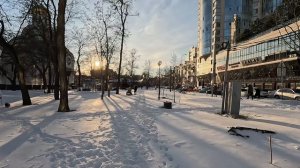 Много снега в феврале 2026. Ростов-на-Дону.