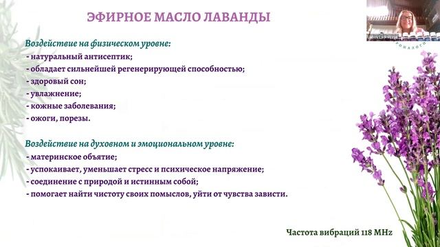 Аромалогия. 12 эфирных масел смотреть онлайн