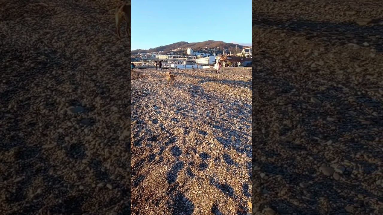 На пляже в Хосте, Сочи. #сочи #адлер #море #shortsvideo