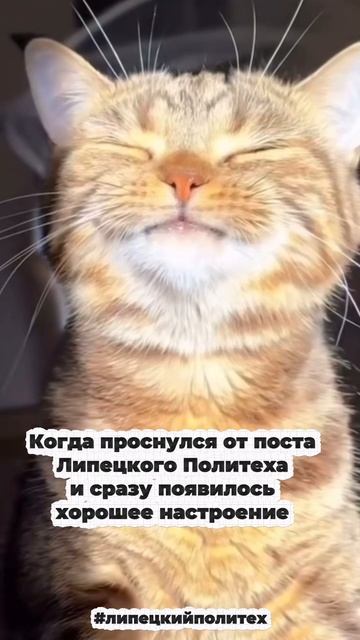 Когда я проснулся от поста Липецкого Политеха