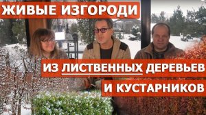 Дерен, боярышник, пузыреплодник, ирга в дизайне живых изгородей